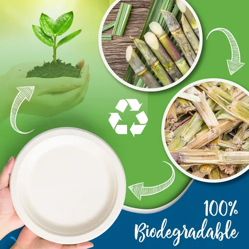 Miniatura 2 de Platos de papel blanco, 7 pulgadas, 150 unidades, fibra de caña de azúcar de grado alimenticio, compostable y biodegradable, para microondas