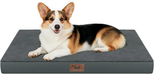 Miniatura 132 de Cama ortopédica de felpa para perros y cachorros medianos, camas impermeables para perros de 30 x 20 pulgadas con funda extraíble lavable, tapete