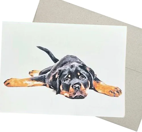 Groomers Margins Rottweiler - Tarjeta de felicitación (7 x 5 pulgadas, 1 tarjeta, interior en blanco) para tarjeta de cumpleaños Rottweiler, Get