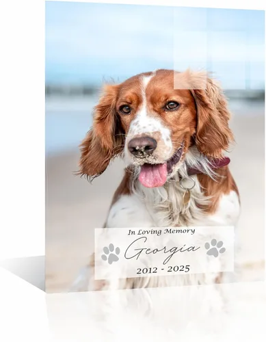 Miniatura 13 de Perfect Cases Marco conmemorativo para mascotas con pantalla de collar e impresión fotográfica de 8 x 10 pulgadas y grabado personalizado..