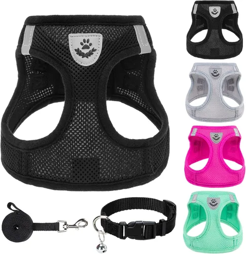 PUPTECK Juego de arnés ajustable para perro, collar y correa sin tirones, arnés para mascotas para perros pequeños y medianos, cachorros y gatos,