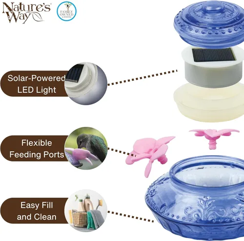 Miniatura 5 de Nature's Way Bird Products ANTHF2-I - Comedero iluminado, antiguo para colibríes, color azul claro/rosa
