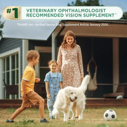 Miniatura 5 de Ocu-GLO Suplemento PB Vision para perros medianos y grandes: mezcla de polvo fácil de administrar con luteína, ácidos grasos omega-3, extracto