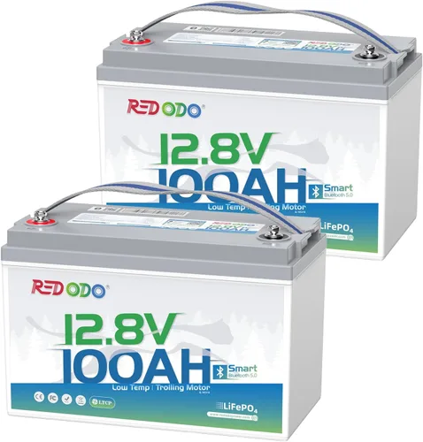 Miniatura 31 de Redodo Batería LiFePO4 de litio de 12 V 100 Ah, batería del grupo 31 integrada en BMS de 100 A, hasta 15000 ciclos, 10 años de vida útil, perfecta