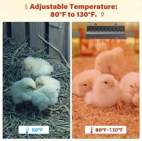 Miniatura 3 de Lámpara de calor de gallinero para perrera, cama de gato, reptiles e incubadoras - Lámpara de calor ajustable de 250 W con 2 ajustes de calor