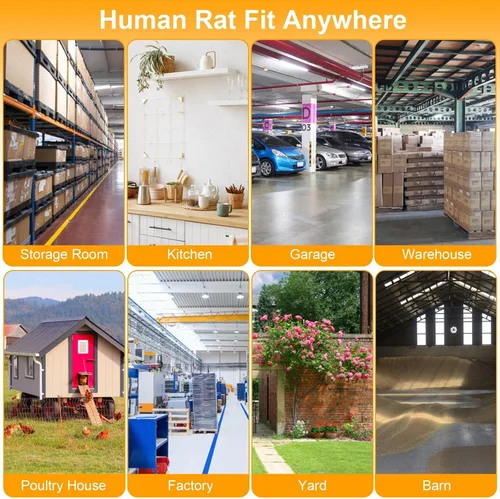 Miniatura 9 de TeqHome Trampa de jaula humana para ratas de 2 puertas, jaula de metal para animales vivos, pequeñas jaulas para roedores de liberación de capturas