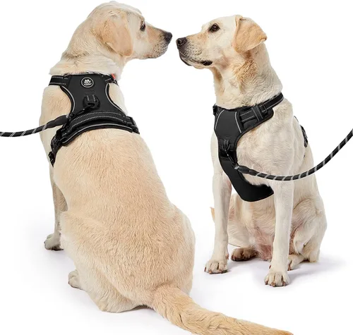Miniatura 2 de NESTROAD Arnés para Perro Sin Tirones, Arnés de Chaleco para Perro Oxford Ajustable con Correa, Arnés Reflectante Sin Ahogo para Mascotas con Mango