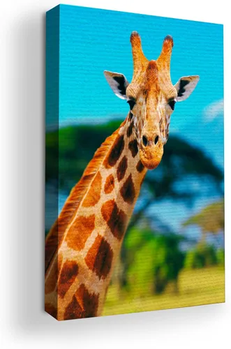 Miniatura 10 de Mavis Print - Lienzo decorativo para pared con diseño de conejo/conejo, 36 x 36 pulgadas, decoración de pared de animales impresos en HD y marco