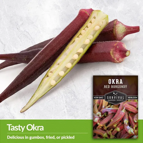 Miniatura 4 de Survival Garden Seeds - Semilla de Okra rojo burdeos para plantar - Paquete con instrucciones para plantar y cultivar vainas tiernas de Okra Borgoña
