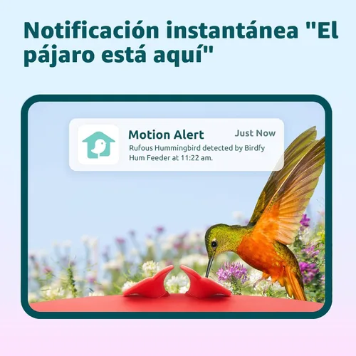 Miniatura 2 de Birdfy Alimentador de Colibríes con Cámara, Grabación Automática de Video de Aves, Notificación Instantánea, Vista en Vivo, Comederos Inteligentes
