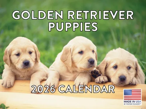 Miniatura 14 de Calendario de pared mensual 2025 Great Dane de 12 meses, fabricado en Estados Unidos