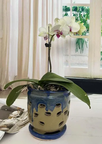 Miniatura 2 de Macetas grandes de cerámica para orquídeas con agujeros, maceta con platillo para plantas de interior, decoración del hogar, maceta redonda