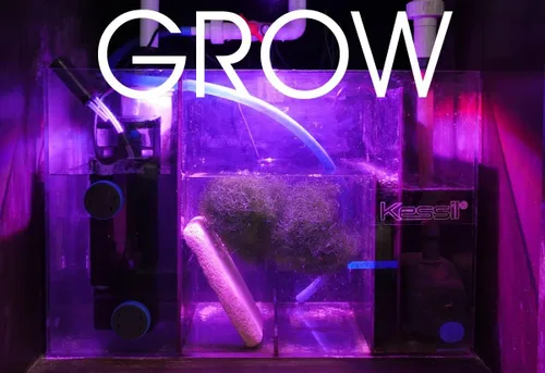 Miniatura 7 de Kessil Luz LED de cultivo de refugio de flora de atún H160