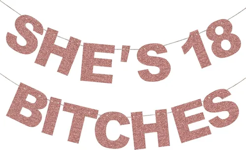Miniatura 7 de Decoraciones de 21 cumpleaños para ella – NO DIY – She's 21 Bitches Negro Glitter Banner divertido Feliz 21 cumpleaños fiesta cartel decoración
