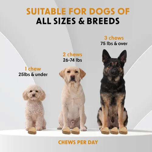 Miniatura 6 de Suplementos probióticos para perros masticables suaves (90 unidades) – Apoyo digestivo + equilibrio intestinal y apoyo de heces saludables