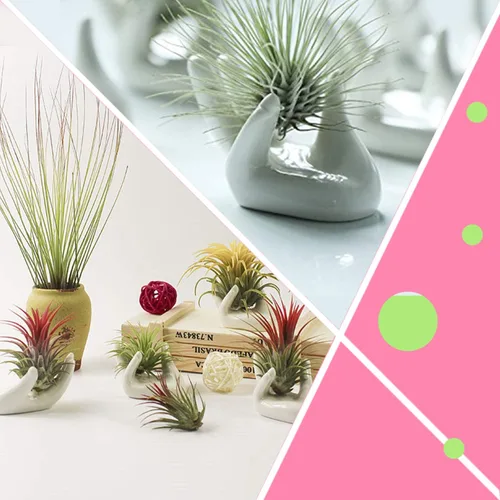 Miniatura 2 de Paquete de 6 soportes de cerámica para plantas de aire, forma de mano, contenedor de plantas de aire Tillandsia, maceta, exhibición de plantas