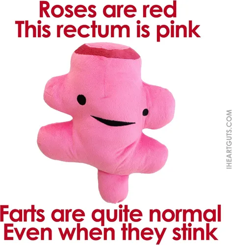Miniatura 7 de I Heart Guts Rectum Plush – Lindo juguete educativo de órgano para hemorroides y cirugía colorrectal – Divertido regalo de recuperación