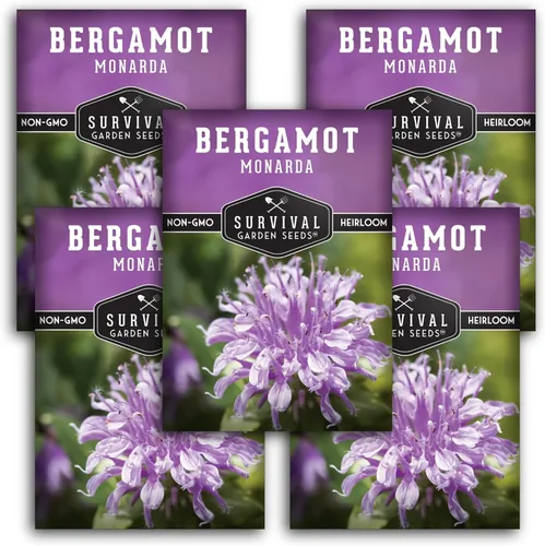 Miniatura 12 de Survival Garden Seeds - Semilla de hierba de bergamota (bálsamo de abeja) para plantar - 3 paquetes con instrucciones para plantar y cultivar flores