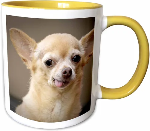 Miniatura 11 de 3dRose Taza de café, tamaño – 15 oz – Perro Chihuahua sin dientes, Santa Fe, Nuevo México – US32 JMR0502 – Julien McRoberts Dogs – divertido regalo