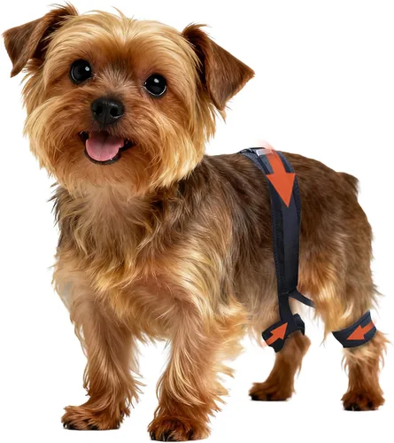 Soporte de cadera para perro para displasia de cadera, soporte ajustable de cadera para perro con compresión específica, estabiliza las