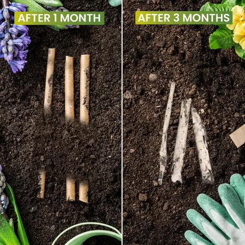 Miniatura 5 de Juego de 200 pajitas de coco biodegradables, desechables, sin plástico, ecológicas de fibra de coco a granel para bebidas frías y calientes