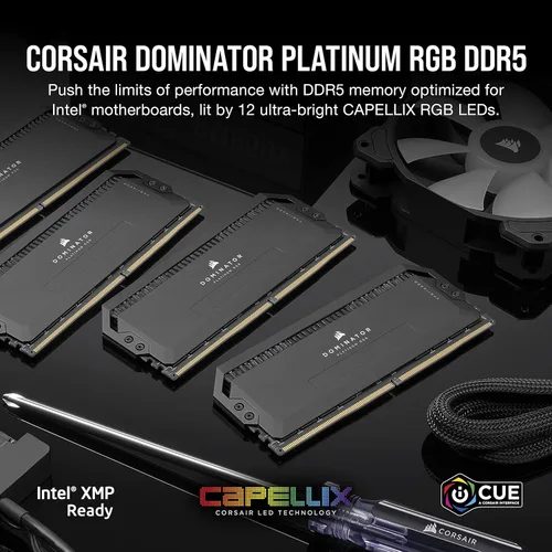 Miniatura 2 de CORSAIR Dominator Platinum RGB DDR5 RAM 32 GB (2 x 16 GB) 6000 MHz CL30 Intel XMP iCUE Memoria de computadora compatible - Negro (CMT32GX5M2B6000C30)
