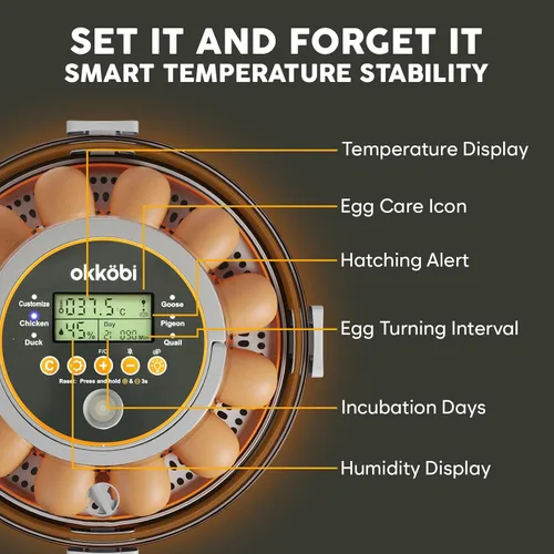 Miniatura 4 de Incubadora de 12 huevos con giro automático de huevos y control de humedad - Ajuste de temperatura - incubadoras para incubar huevos - Candler