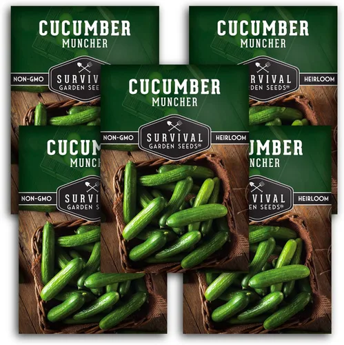 Semillas de pepino Muncher para plantar | Variedad sin eructos con piel suave para bocadillos o rebanadas – Semillas de jardín de supervivencia