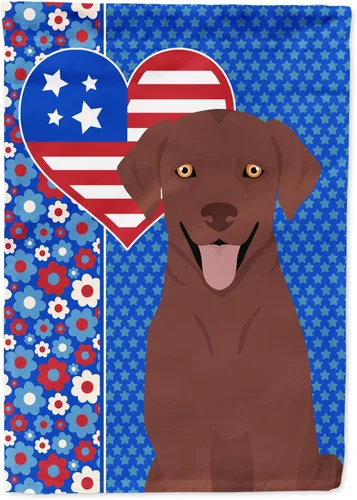 Miniatura 10 de Caroline's Treasures WDK5119GF - Bandera de jardín americana de Airedale Terrier de Estados Unidos, color negro y tostado, bandera decorativa