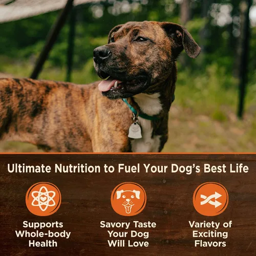 Miniatura 6 de Wellness CORE - Alimento seco para perros de raza pequeña, harina de pavo y pollo, bolsa de 4 libras CORE en paté de comida húmeda para perros