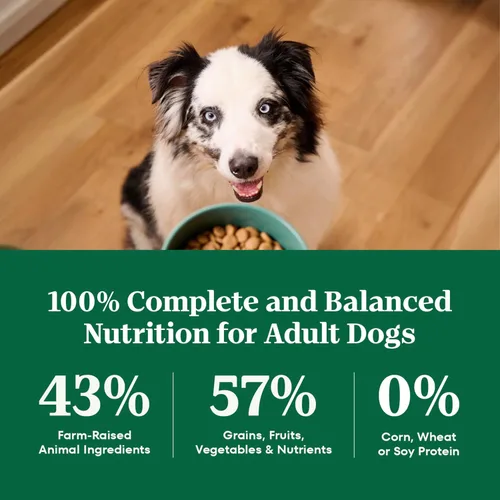 Miniatura 8 de Nutro Natural Choice - Alimento seco para perros adultos, receta de carne de res y arroz integral, bolsa de 4.5 libras