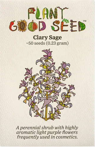 Plant Good Seed Semillas orgánicas de salvia clara para plantar: hierba para cosméticos, flores moradas fragantes - Paquete de 50 semillas