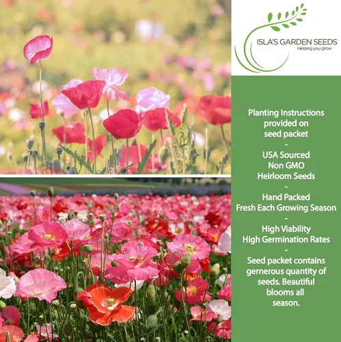 Miniatura 2 de Shirley Semillas de amapola de mezcla única (Papaver rhoeas) – Más de 3000 semillas tradicionales sin OMG de Isla's Garden Seeds, delicadas flores
