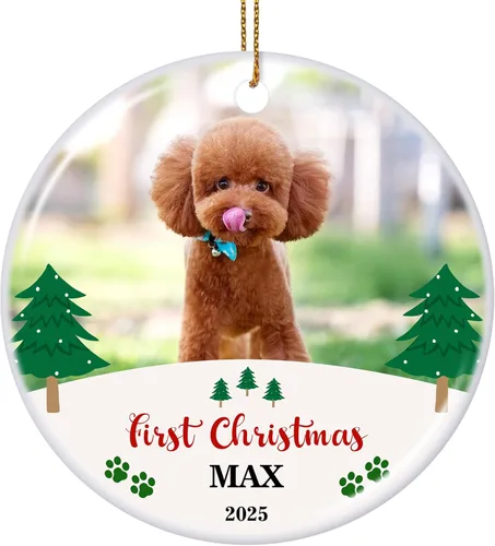 Miniatura 35 de Paquete de 4 adornos de Navidad personalizados 2025 de cerámica personalizada con foto y texto para decoración de árbol de Navidad, primera Navidad