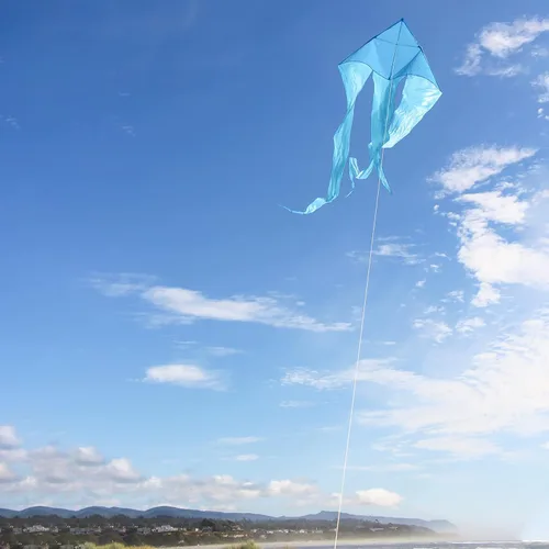 Miniatura 7 de In the Breeze Wave Delta Kite, cometa de una sola línea, tela Ripstop y tafetán, línea y bolsa incluidas Azul