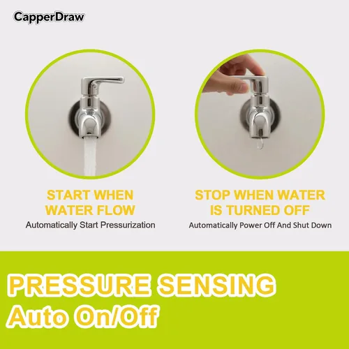 Miniatura 6 de Bomba de agua de diafragma autocebante de 110 V CA, 4.0 GPM, 50 PSI, elevación de succión de 10 pies, cabezal máximo de 100 pies, interruptor