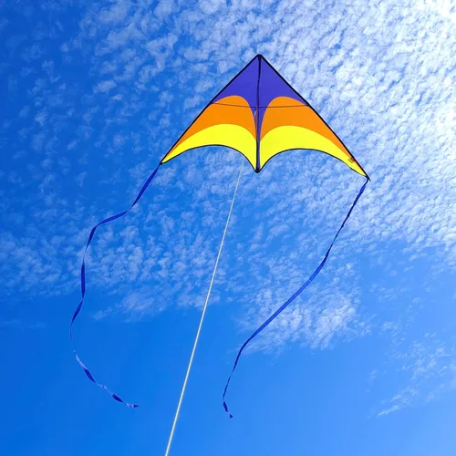 Miniatura 2 de Large Rainbow Delta Kite for Kids & Adults,Single Line Beach Kite for Kids Ages 4-8 & 8-12,Easy to Fly for Toddlers and Beginners