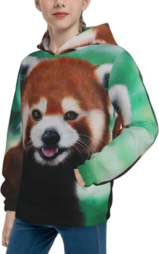 Miniatura 4 de Sudaderas con capucha y estampado 3D para niños y niñas