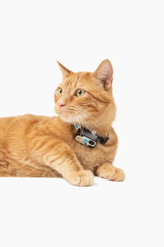 Miniatura 3 de Genuine MS-5® Designer Cat Collar for Automatic Doors Collar. Tested & Certified by High Tech Pet. Proven Reliable. Complies with Power Pet Door