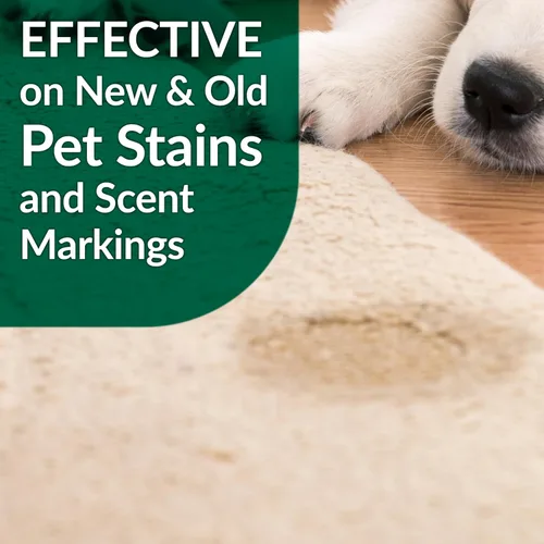 Miniatura 7 de Bio Active - Removedor de manchas y olores para mascotas y alfombras, seguro para mascotas y personas, espray de 32 onzas