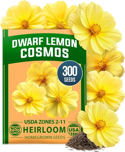 Miniatura 61 de HOME GROWN Mezcla de semillas germinantes de primera calidad, microgreens 118,200 semillas para cultivo en interiores, brócoli, alfalfa, rábano