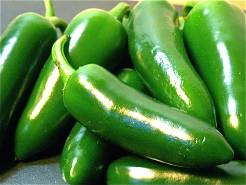 Miniatura 3 de Semillas gigantes de pimienta jalapeño enormes PODS grandes rellenos MILD.(10 - Semillas)