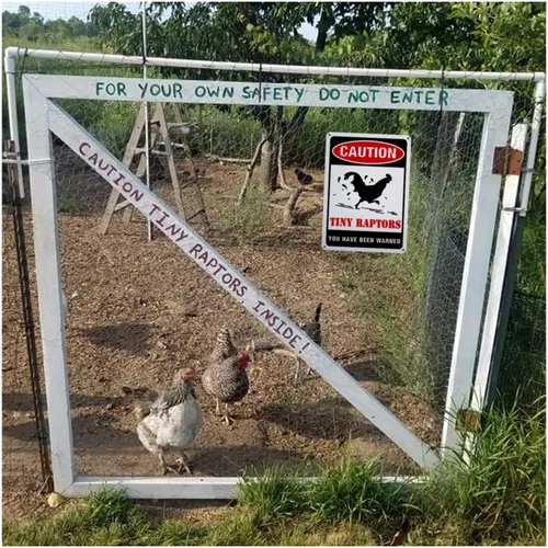Miniatura 6 de GLOBLELAND Paquete de 2 letreros de aluminio para gallinero de cocina de granja, gallinero, decoración de gallina, gallinero, cuidado con el pollo