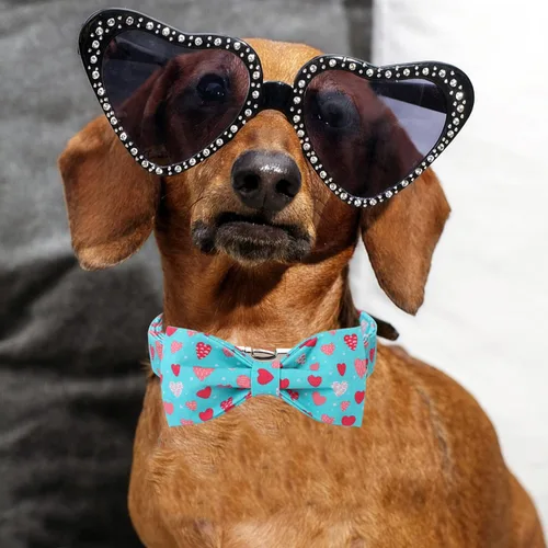 Miniatura 5 de DOGWONG Collar de perro de San Valentín con pajarita, corazón azul, perfecto para perros pequeños, medianos y grandes, patrón de corazón, pajarita