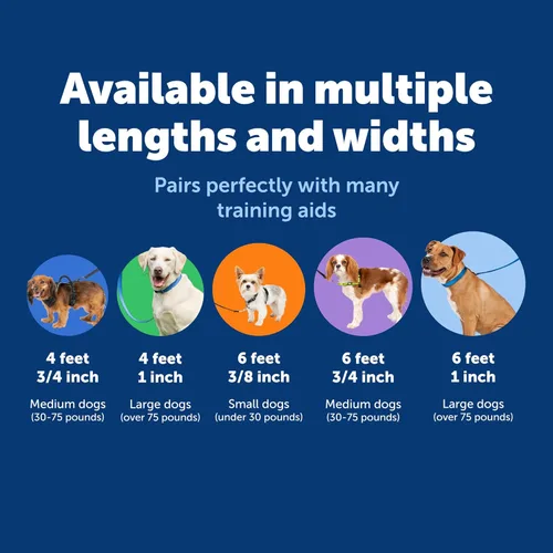 Miniatura 5 de PetSafe Correa de nailon para perro fuerte, duradera, estilo tradicional con broche de perno fácil de usar para perros pequeños, medianos y grandes
