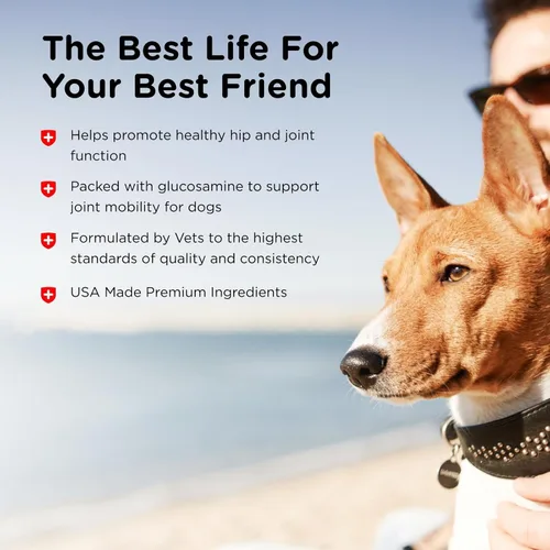 Miniatura 4 de Nutri-Vet Suplementos para perros de fuerza regular para cadera y articulaciones, formulados con glucosamina condroitina, suministros para mascotas