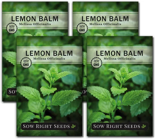 Miniatura 9 de Sow Right Seeds - Semillas de bálsamo de limón para plantar - Paquete de reliquia sin OMG con instrucciones - Jardín de hierbas fácil de cultivar