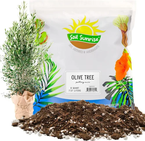 Miniatura 10 de Soil Sunrise Mezcla de tierra para macetas de olivo (12 cuartos de galón) para plantar, trasplantar y cultivar arbustos/plantas de olivo