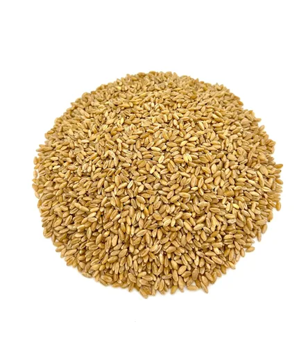 Miniatura 2 de Bayas de trigo duro I Wheatland I Cubo de 20 libras I Vida útil de 25 años Probé libre de productos químicos I No GMO I Kosher I Vegan I Mylar +