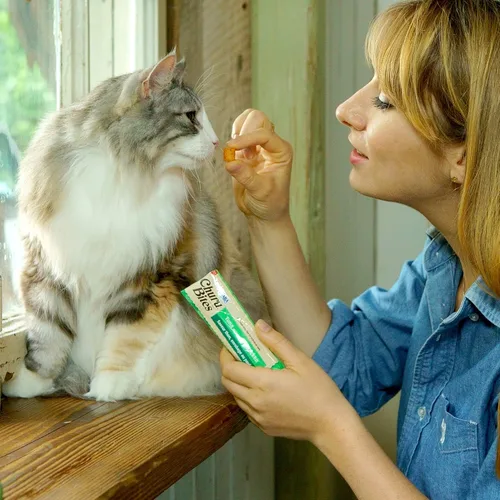 Miniatura 7 de INABA Churu Bites para gatos, golosinas para gatos horneadas y suaves rellenas de pollo con vitamina E, 0.35 onzas cada tubo, 24 tubos en total